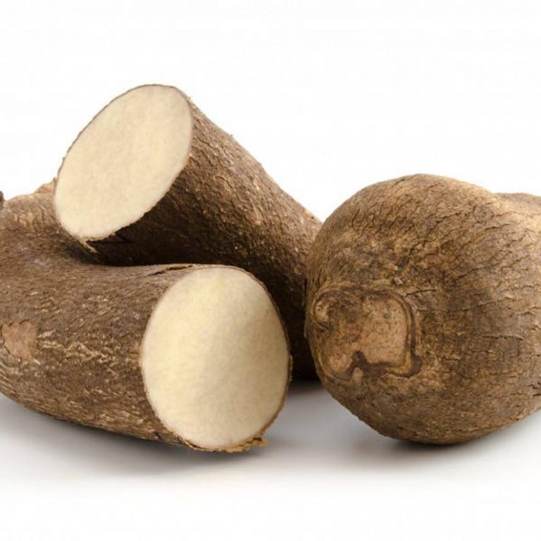 White Brazil Yam Kg Authentic Ja Foods